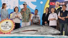 屏東黑鮪季開鑼！「第一鮪」201萬標出 每公斤1.06萬創新高