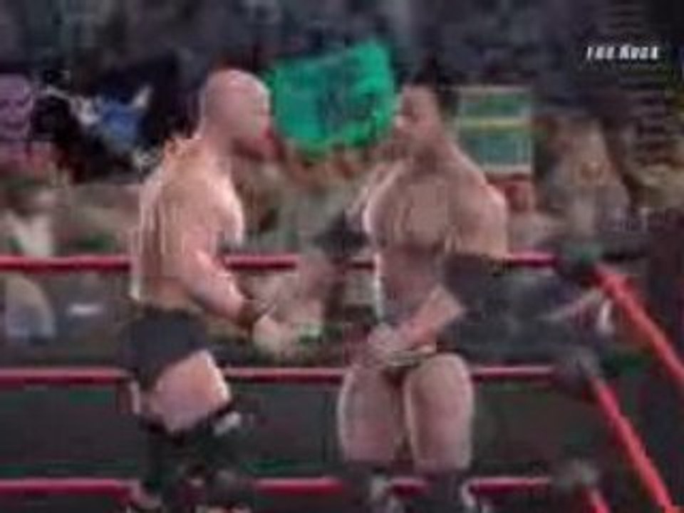 Stunner by steve austin