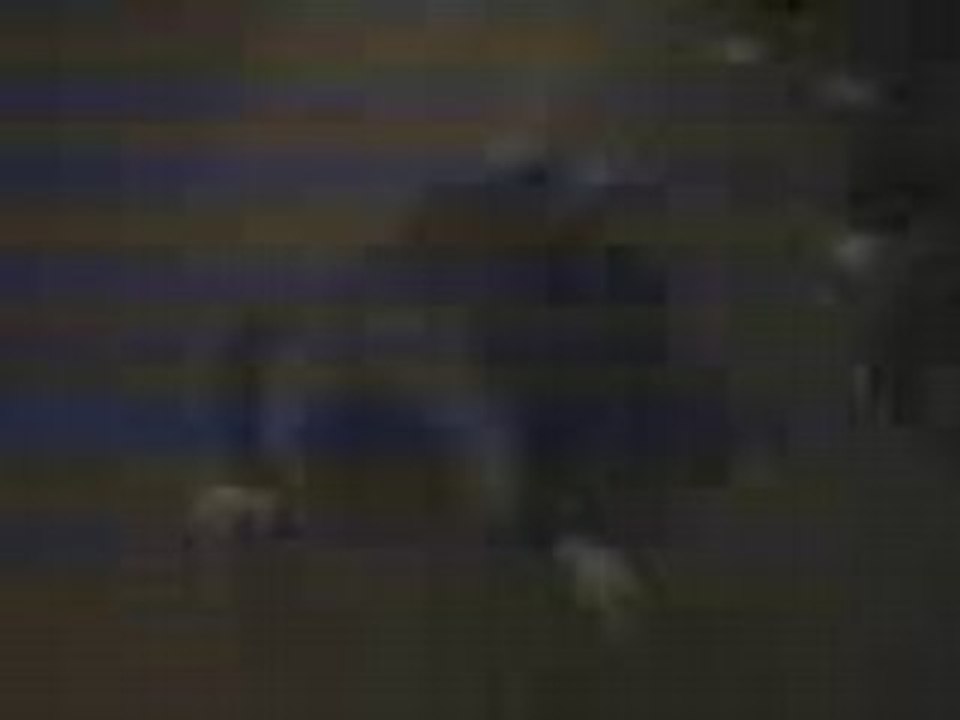 Vidéo 0014