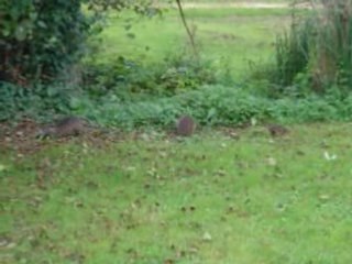 La famille de Philippe au "Camping des 2 Vallées''