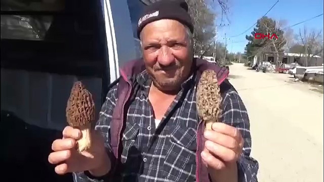 Doğada kendiliğinden yetişen ''kara elmas'' köylülerin gelir kapısı oldu: Kilosu 1000 TL'den satılıyor