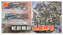 蛇胆熊胆等藏民宅 总值3684万