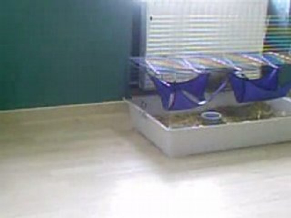 Petite Balade dans la Chambre