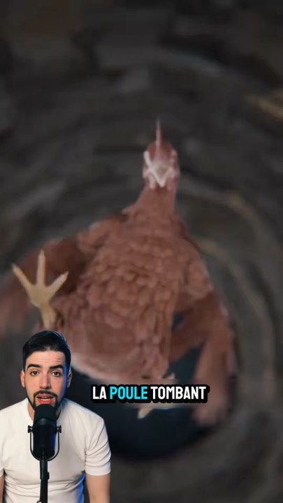 Il a essayer de sauver sa poule