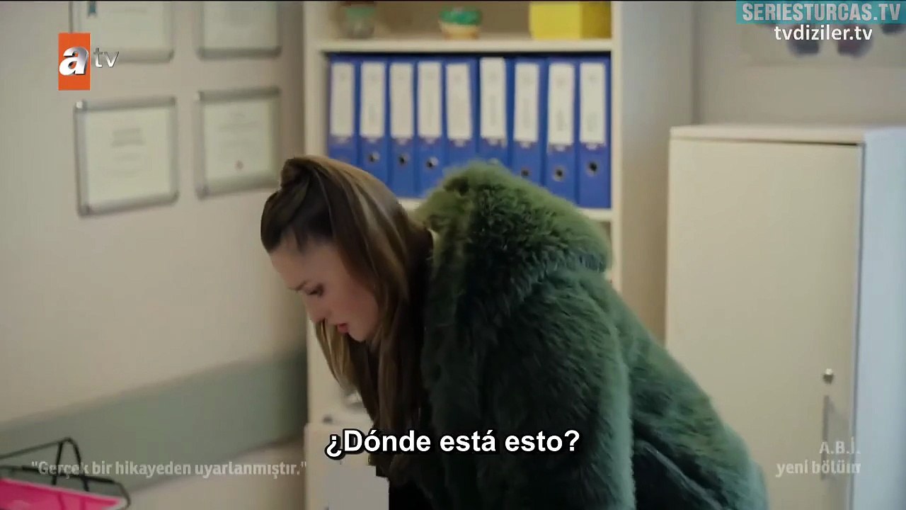 ABI - Capitulo 12 #SERIESHUB