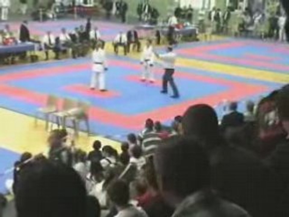 Montage coupe sud 2008