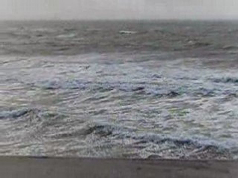 Borkum wellen
