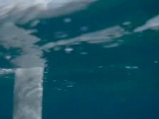 Big waves North Shore Extraits