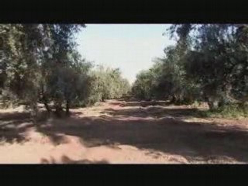 MARRAKECH