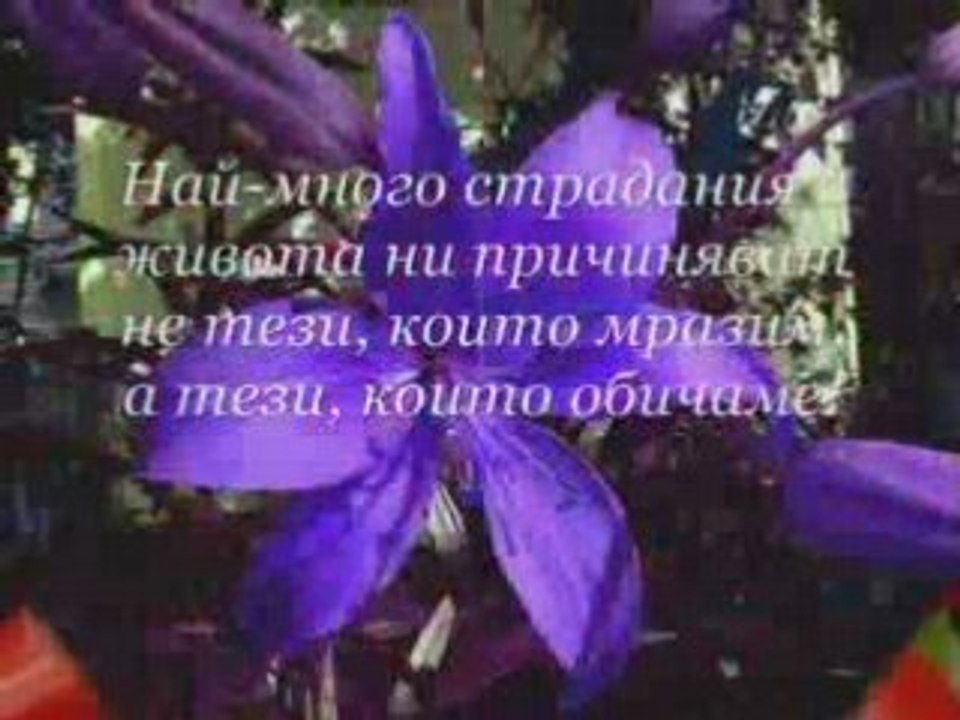 Какво е любовта