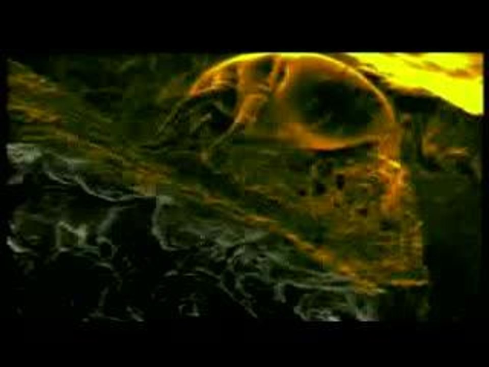 Acariens_Cannibales