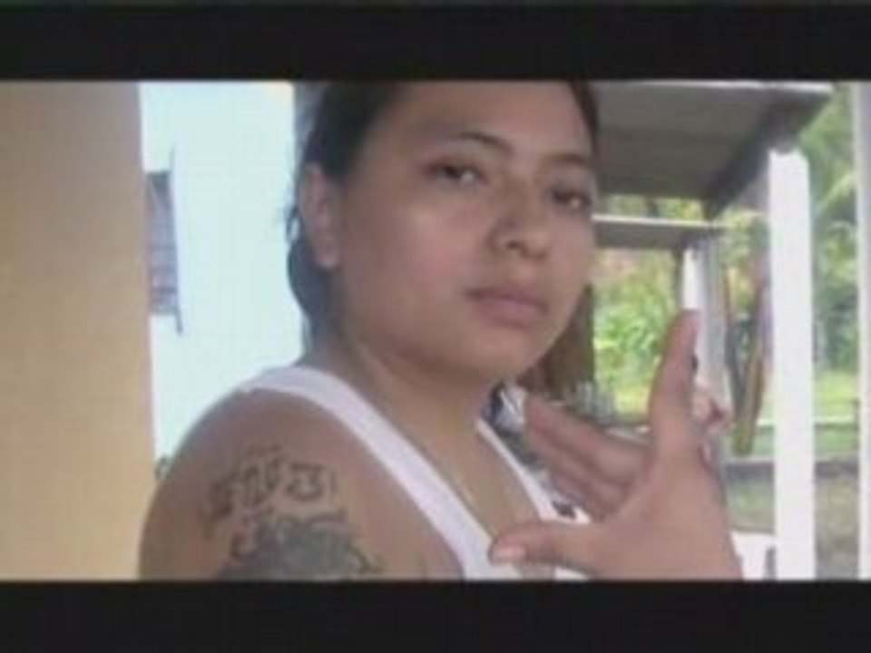 Documental Discovery ms13