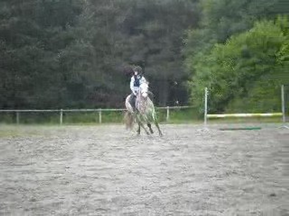 Moi et mastic - parcour entiier