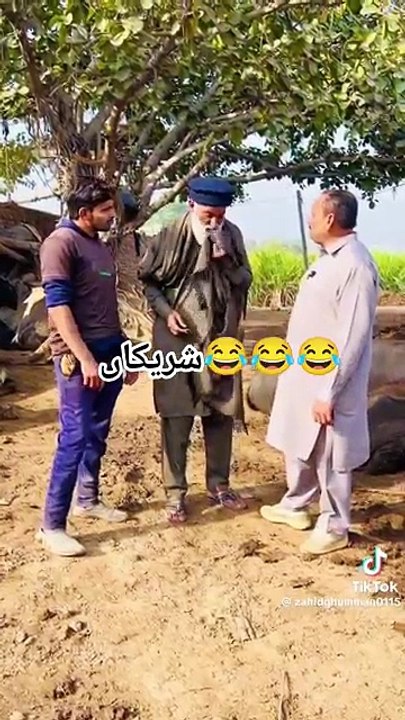 Funny video