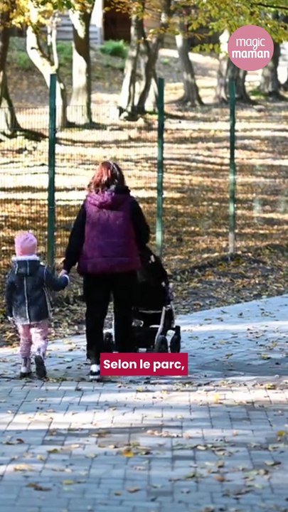 Un bébé de 18 mois blessé par un loup après s’être glissé sous une clôture dans un zoo