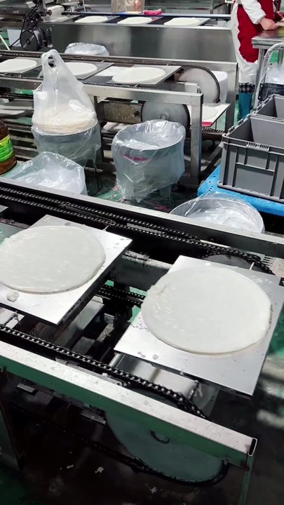 Dough Conveyor – Smooth Bakery Process