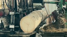 : Wood Cutting Machine – Automated Saw Process