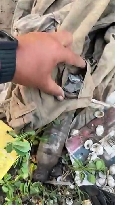 Money in pants poket found  #money #dollars #cash #reels