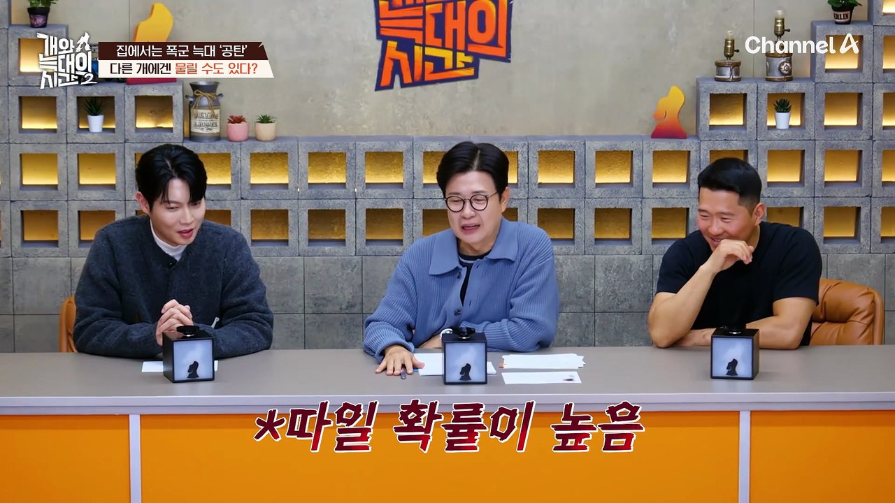 집에서는 폭군 대마왕, 밖에서는 사회성 부족! 왕따 취급받는 우리 개 나이 먹으면 문제가 더 심해진다고요?