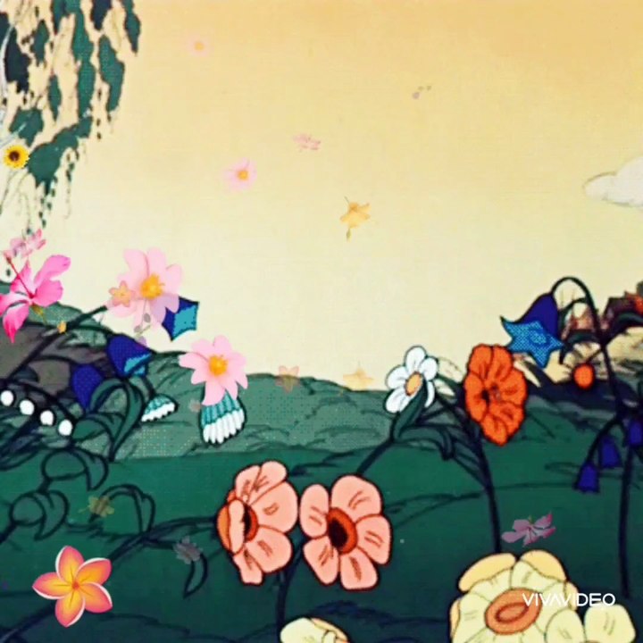 Spring and roses