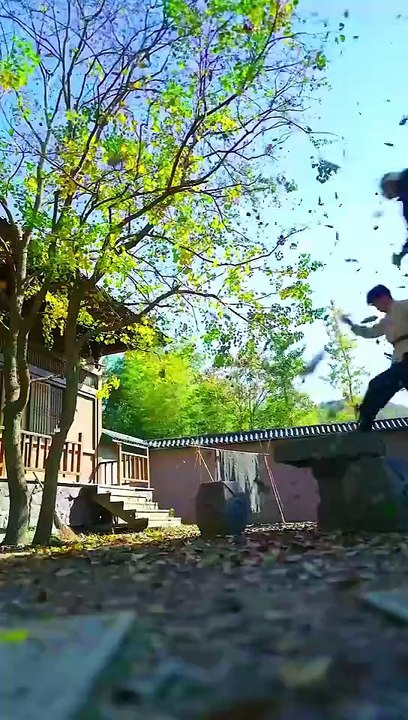 Forced to Marry My CEO #netshort