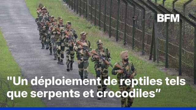 Immigration: l'Inde envisage de déployer serpents et crocodiles à sa frontière avec le Bangladesh