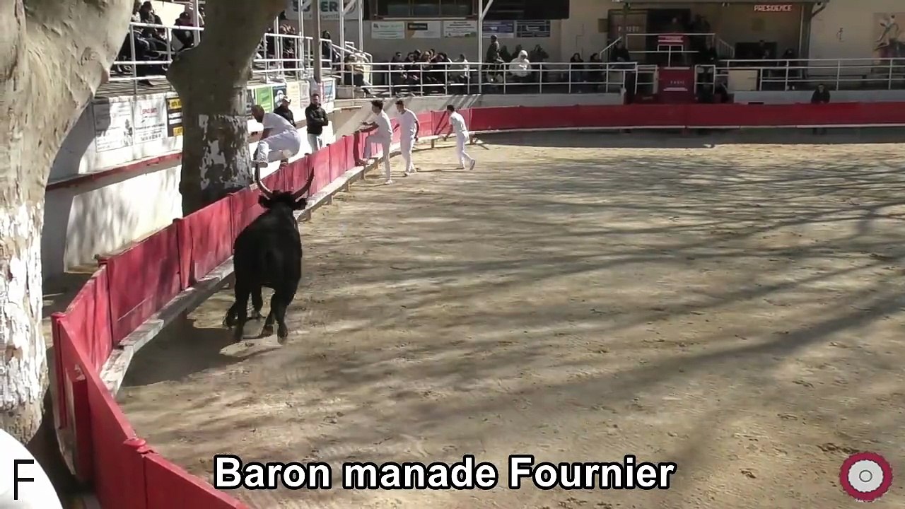 2026 03 29 Baron