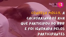 Conheça Molly, a cachorrinha de rua que participou do BBB 1 e foi ignorada pelos participantes