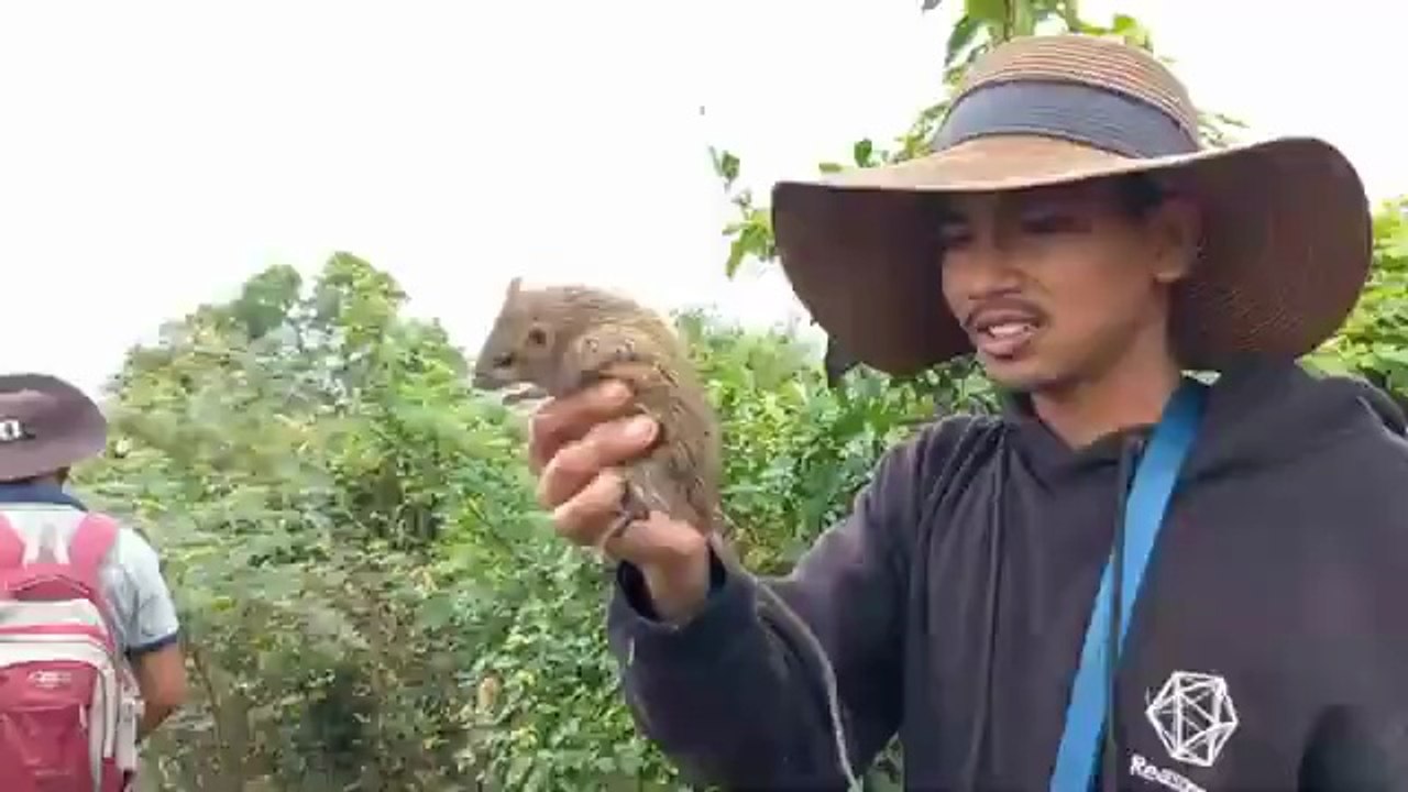 ដើរប្រមាញ់សត្វកណ្ដុរពេលទឹកឡើង(ធានាថាល្អមើលខ្លាំងណាស់) || Hunting mice when the water is high