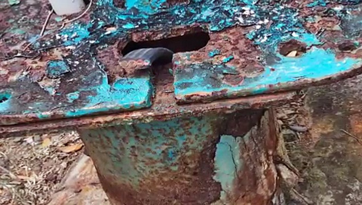 9 RELEASED IN WASA VANDALISM CASE