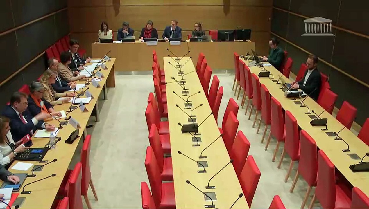 Vulnérabilités systémiques dans le secteur du numérique : M. Nicolas Guillou, juge à la Cour pénale internationale ; Table ronde sur les services de paiement - Mercredi 8 avril 2026