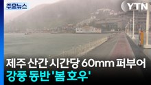 [날씨] 제주 산간 시간당 60mm 퍼부어...강풍 동반 '봄 호우' / YTN