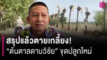 สรุปแล้วตายเกลี้ยง! "ต้นตาลดาบวิชัย" ขุดปลูกใหม่ 20 แต่ไปไม่รอดสักต้น | HOTSHOT เดลินิวส์ 10/04/69