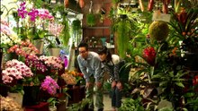 植物男子ベランダー.S01.E06