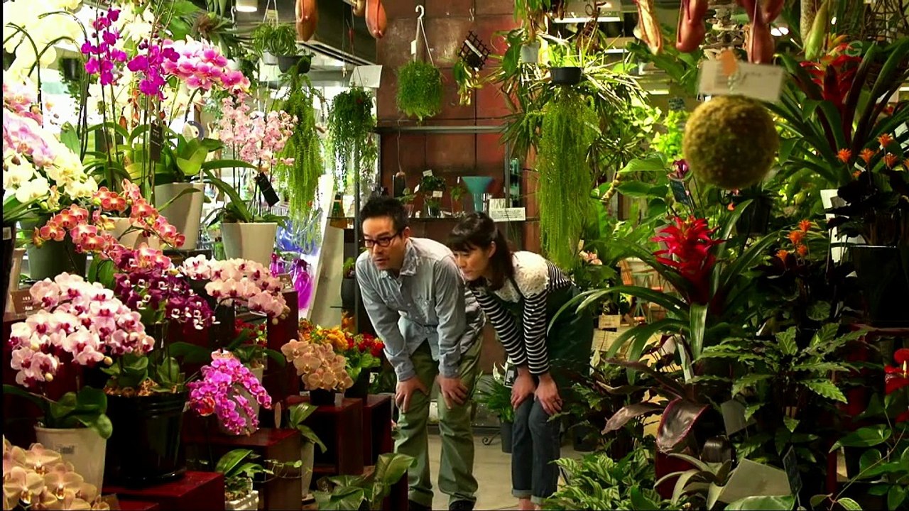 植物男子ベランダー.S01.E06