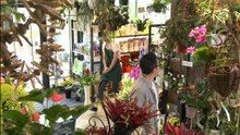 植物男子ベランダー.S01.E10