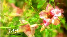 植物男子ベランダー.S01.E09