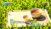 혈관 건강 지키는 황금 레시피! 뇌졸중 예방하는 '생강 녹차' 만드는 법