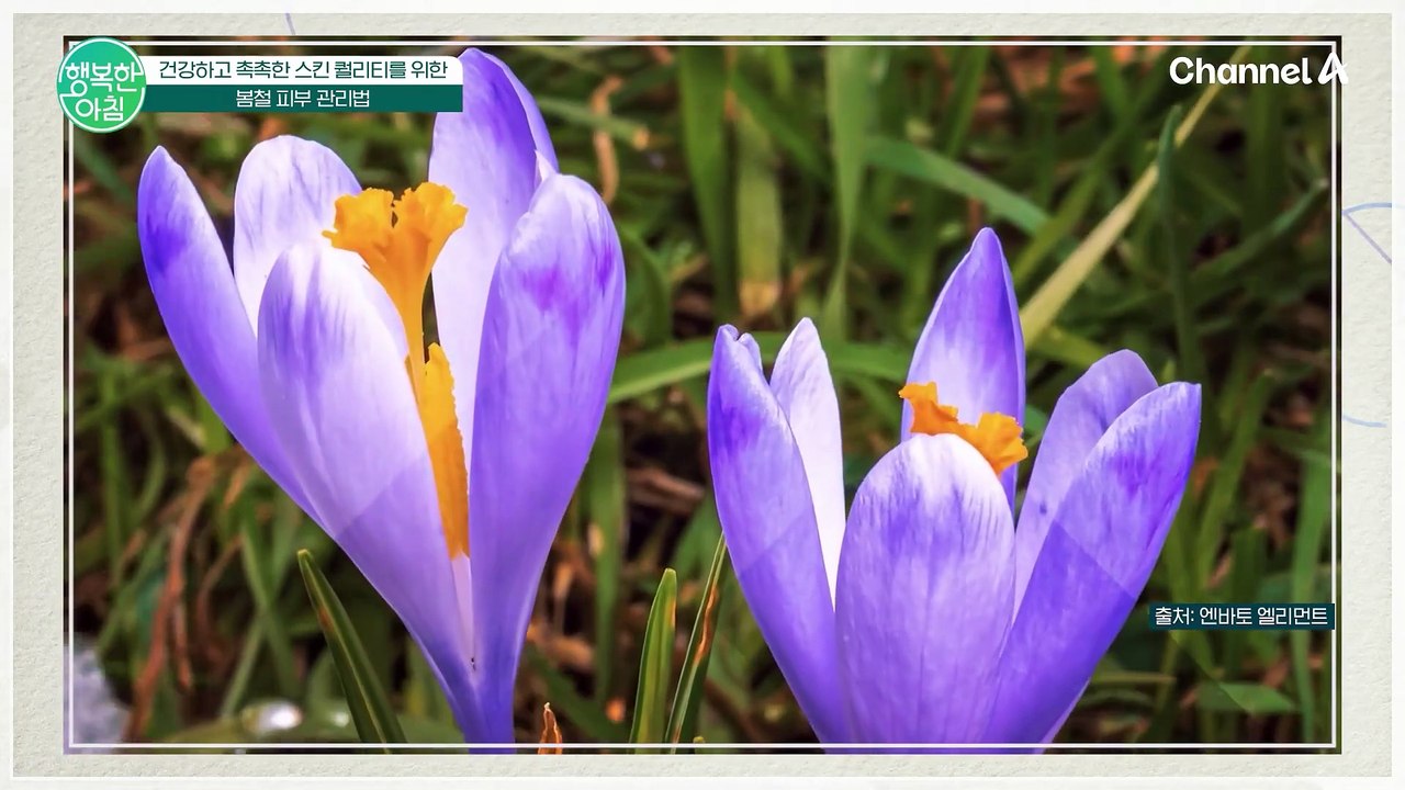 "왜 내 피부만 지는 걸까?" 봄철 피부 건강 망치는 주범과 해결책 '스킨 퀄리티'