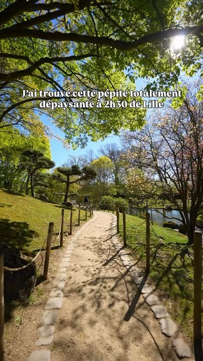 🌸 Jardin japonais de Hasselt 📍 Gouverneur Verwilghensingel 15, 3500 Hasselt🗓️ Mars à Octobre🕦 10h - 17h (Fermé le lundi)💶 7 €🧒 Gratuit (-12 ans)👴 Senior (65+) / 🎓 Étudiant : 5 €#belgique #jardin #printemps #nablezon