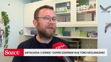 Antalya'da 3 günde 120'nin üzerinde kuş türü gözlemlendi