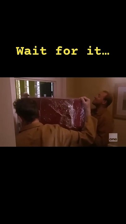 Wait for it… #funny #shorts #shortsfeed #funnyshorts