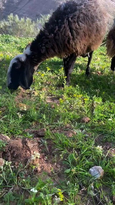 A Day in farm 💖nature life