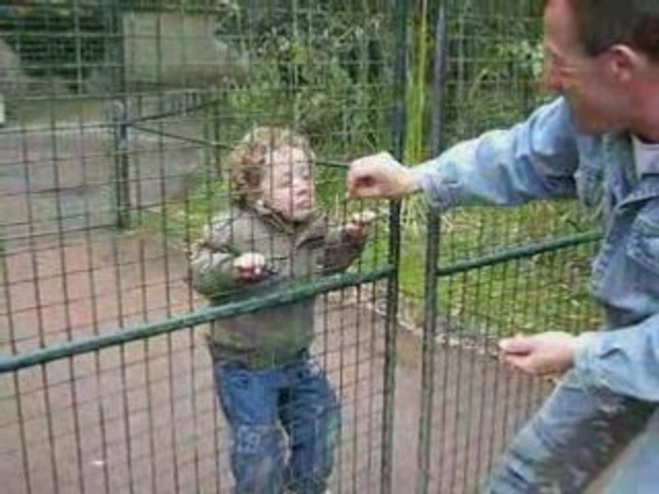 LE PETIT SINGE C4EST MOI