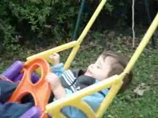 Robin sur la balançoire