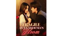 Fragile as a Gardenia’s Bloom - Full Movies English Sub