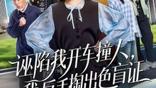 抖音新剧上线# 诬陷我开车撞人，我反手掏出色盲证 (上)