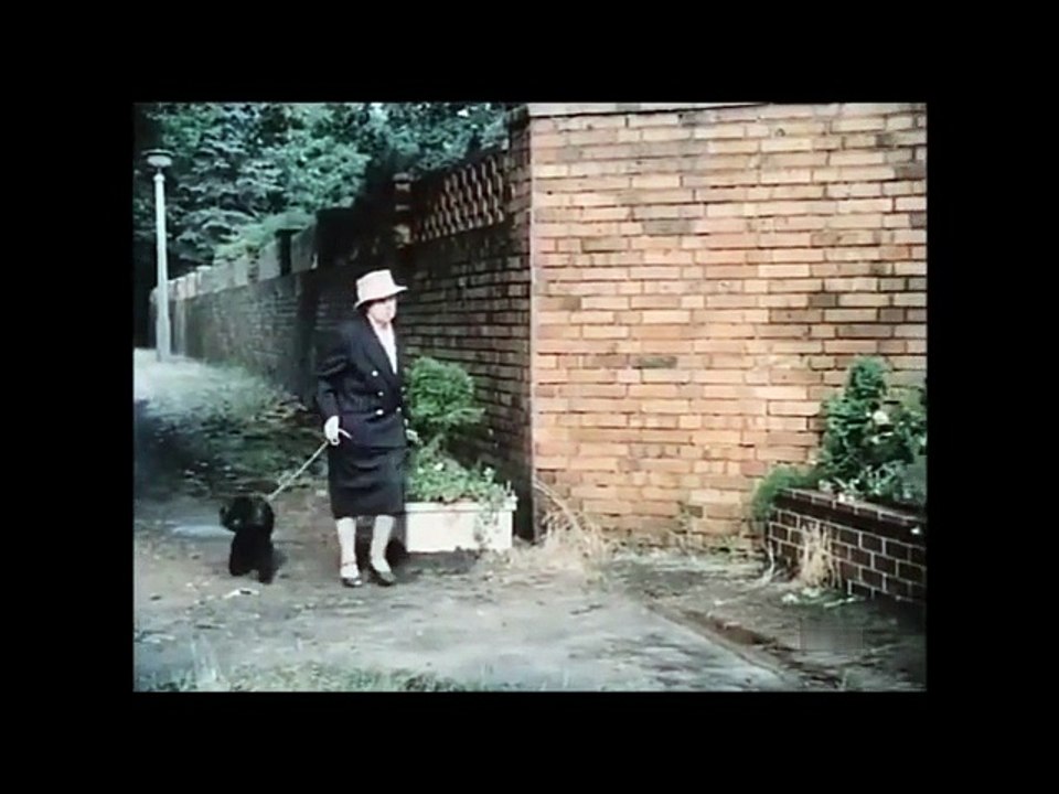 Gänsehaut (DDR 1990)