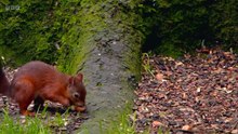 Countryfile Season 37 Episode 40