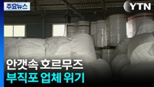 "원자재가 급등·납품가 그대로"...부직포 업체 고사 위기 / YTN